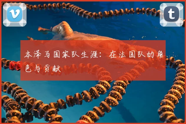 本泽马国家队生涯:在法国队的角色与贡献