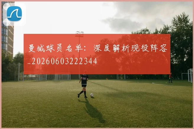 曼城球员名单:深度解析现役阵容_20260603222344