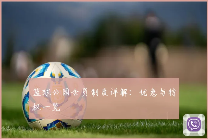 篮球公园会员制度详解:优惠与特权一览